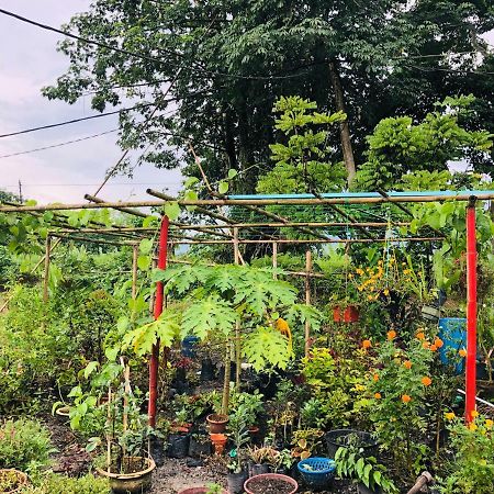 Atocha Homestay - Terong@Taiping Kampong Salak Esterno foto