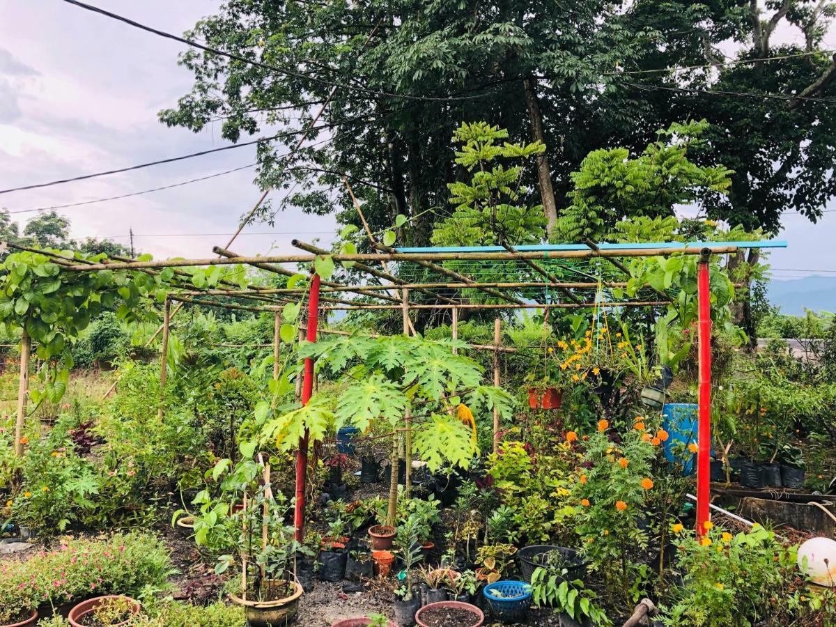 Atocha Homestay - Terong@Taiping Kampong Salak Esterno foto